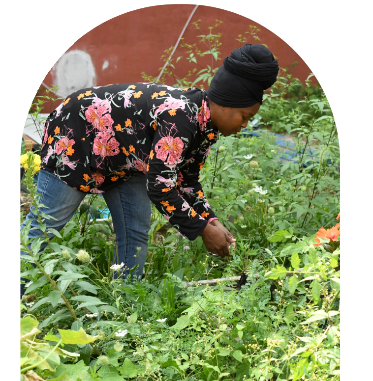 Newark Community Food System